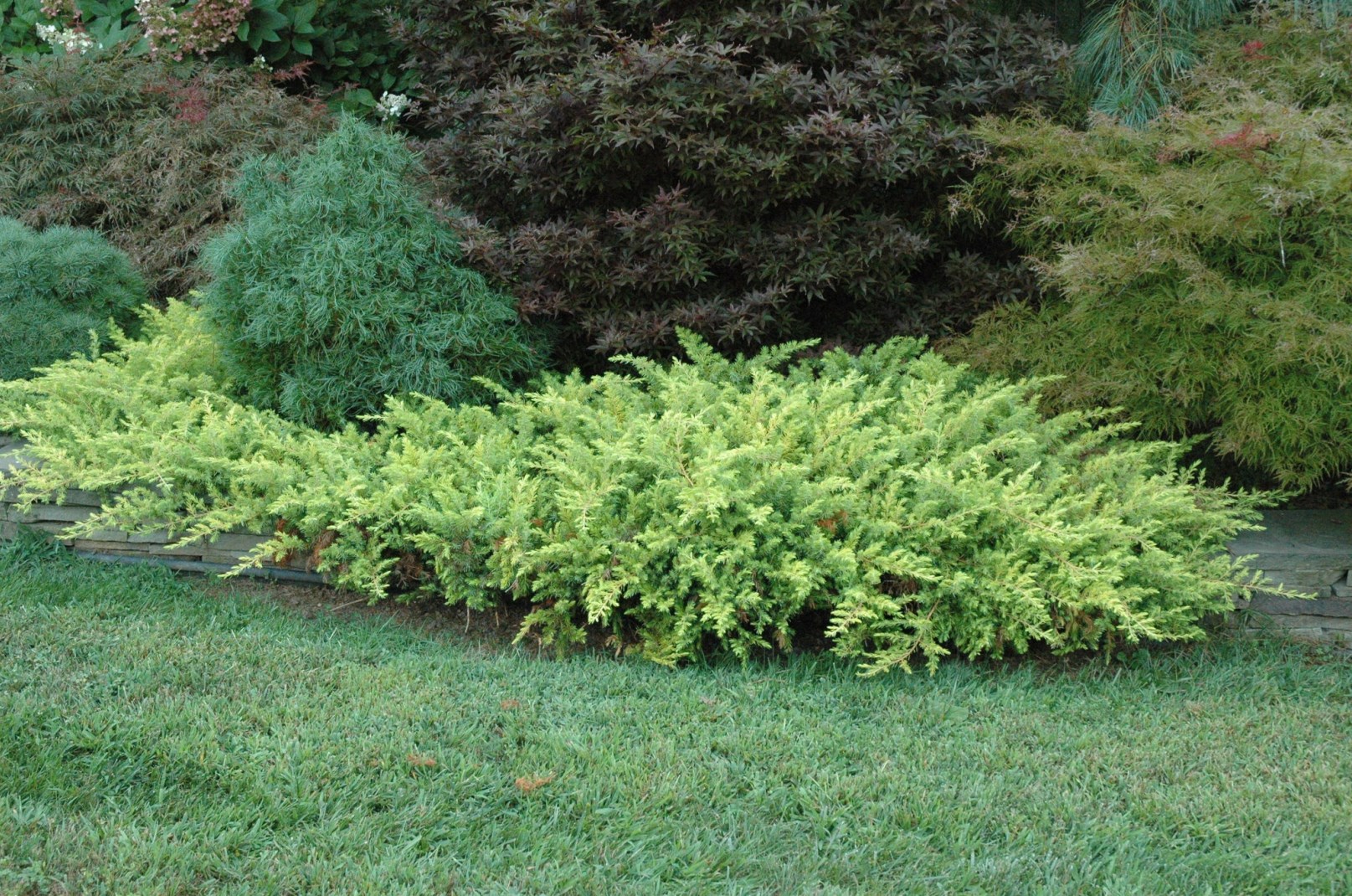 Gazebo Parts Direct Sales Store -Fournitures De Jardin Soldes 2024 Dingtalk 20240529154157