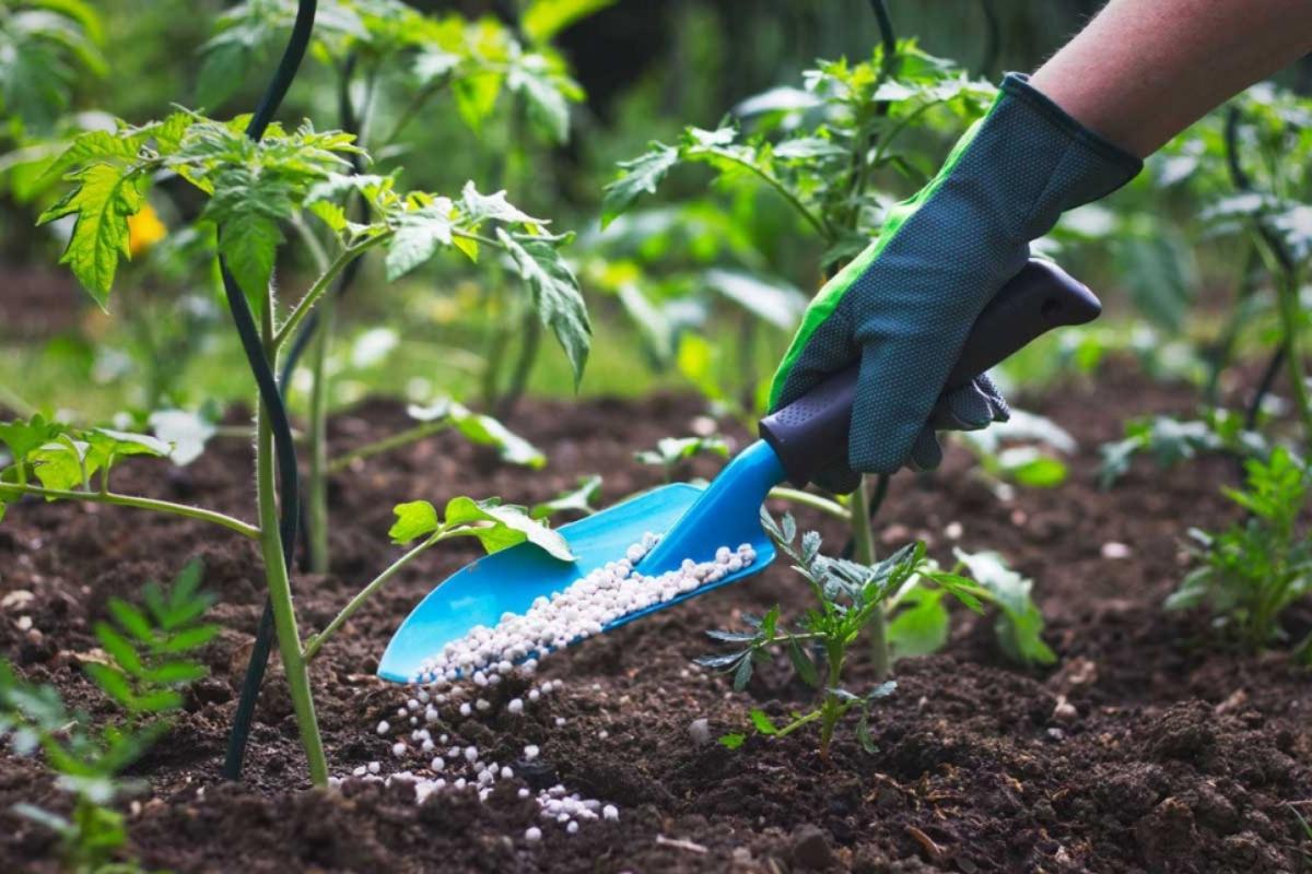 Gazebo Parts Direct Sales Store -Fournitures De Jardin Soldes 2024 difference entre engrais et fertilisant 710 orig