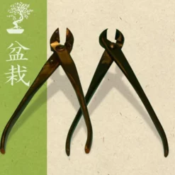 Sécateur Pour Bonsaï